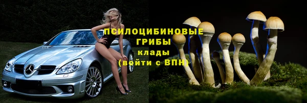 первитин Арсеньев