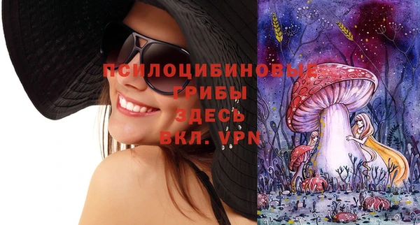 гидропоника Армянск
