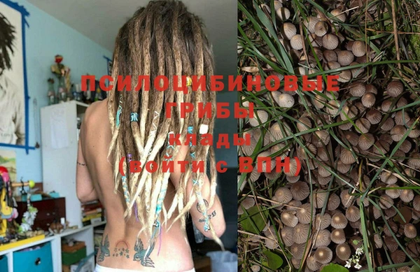 бошки Аркадак