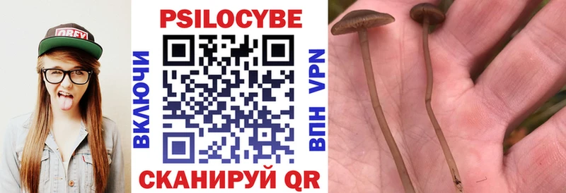 блэк спрут как зайти  Благодарный  Галлюциногенные грибы MAGIC MUSHROOMS 